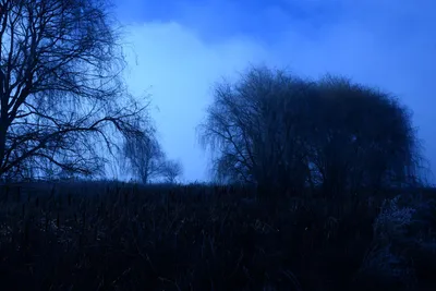 DSC_1014 (Large).JPG